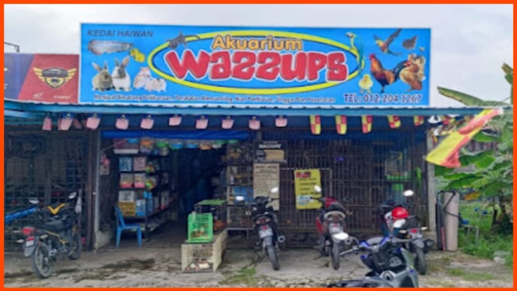 kedai akuarium wazzups