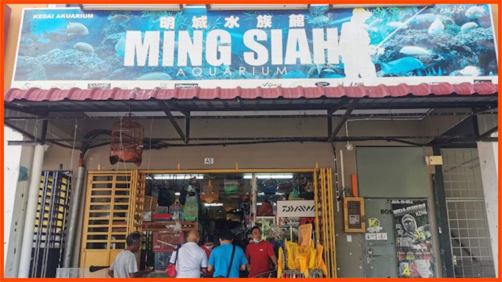 kedai pancing kuantan ming siah aquarium