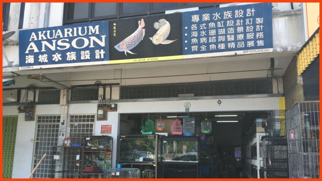 kedai aquarium teluk intan anson aquariuma