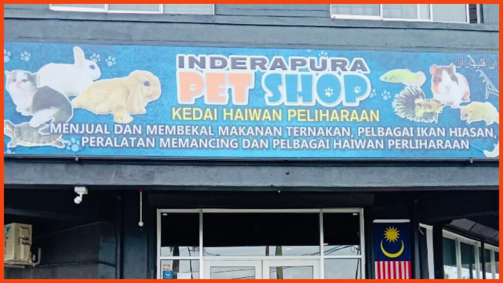 kedai aquarium kuantan inderapura pet shop