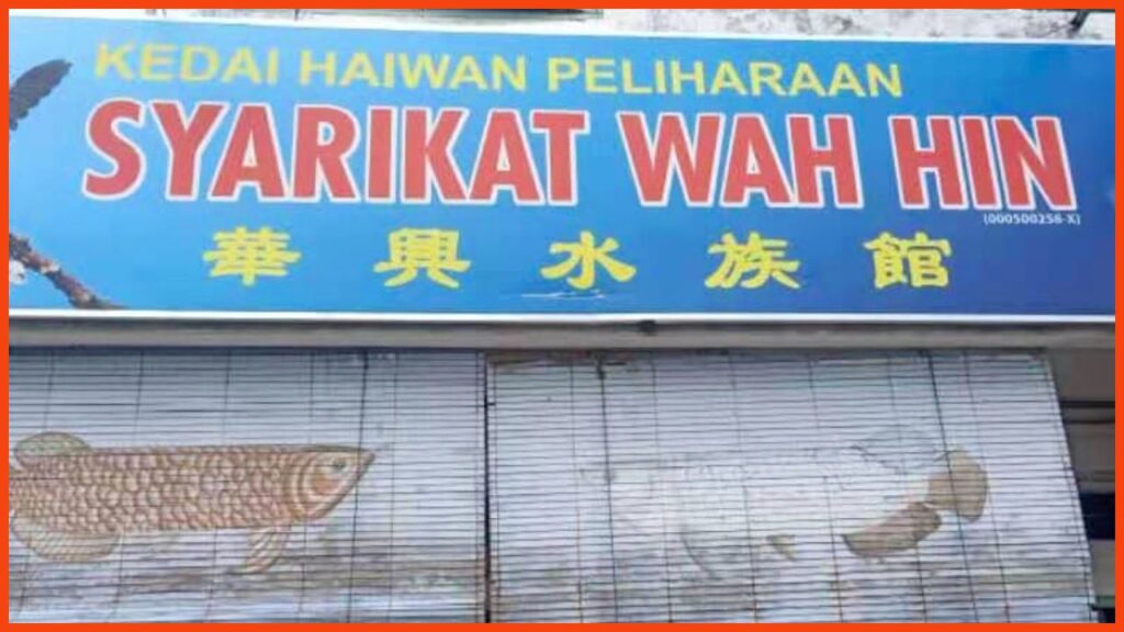 kedai akuarium dan ikan wah hin