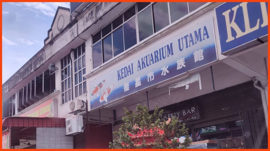 kedai akuarium utama klang selangor