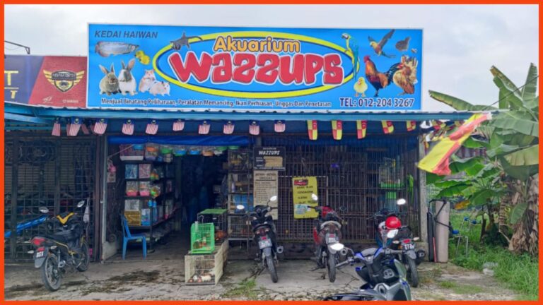 kedai akuarium wazzups