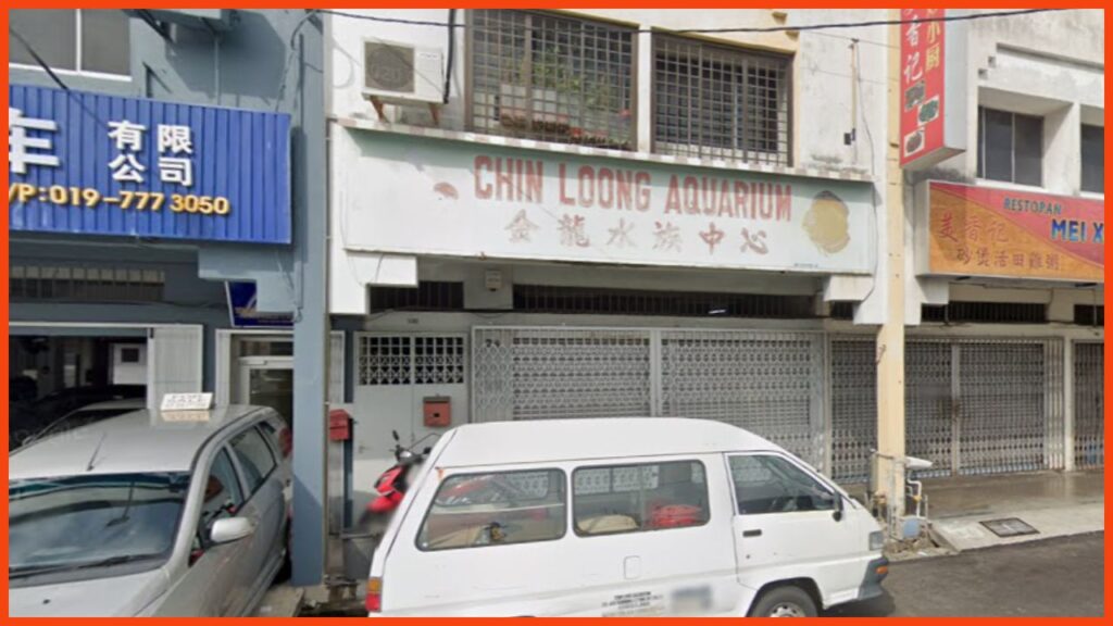 kedai aquarium batu pahat chin loong aquarium