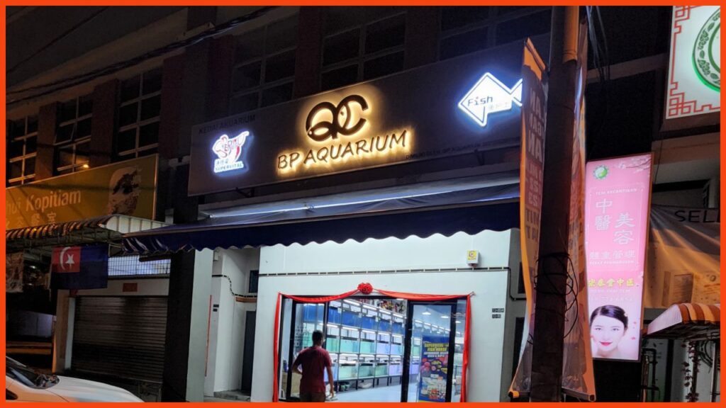 kedai aquarium batu pahat qc bp aquarium