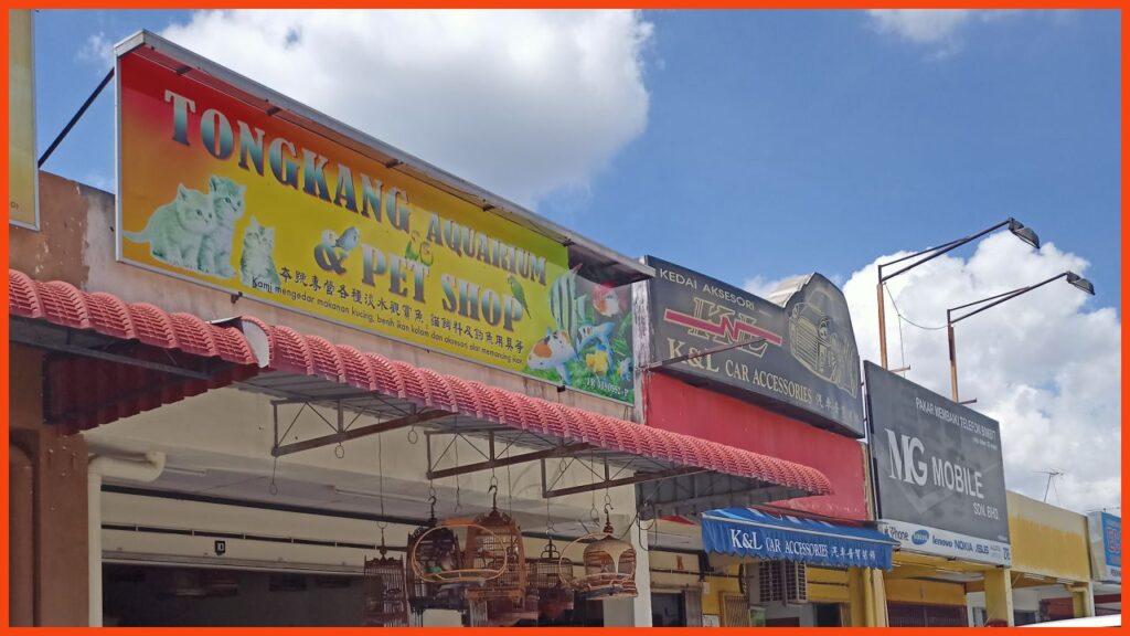 kedai aquarium batu pahat tongkang aquarium & pet shop