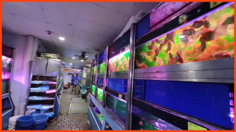 kedai aquarium batu pahat xian leng aquatic merchant sdn bhd