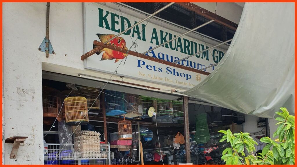 kedai aquarium gombak greenwood aquarium & petshop