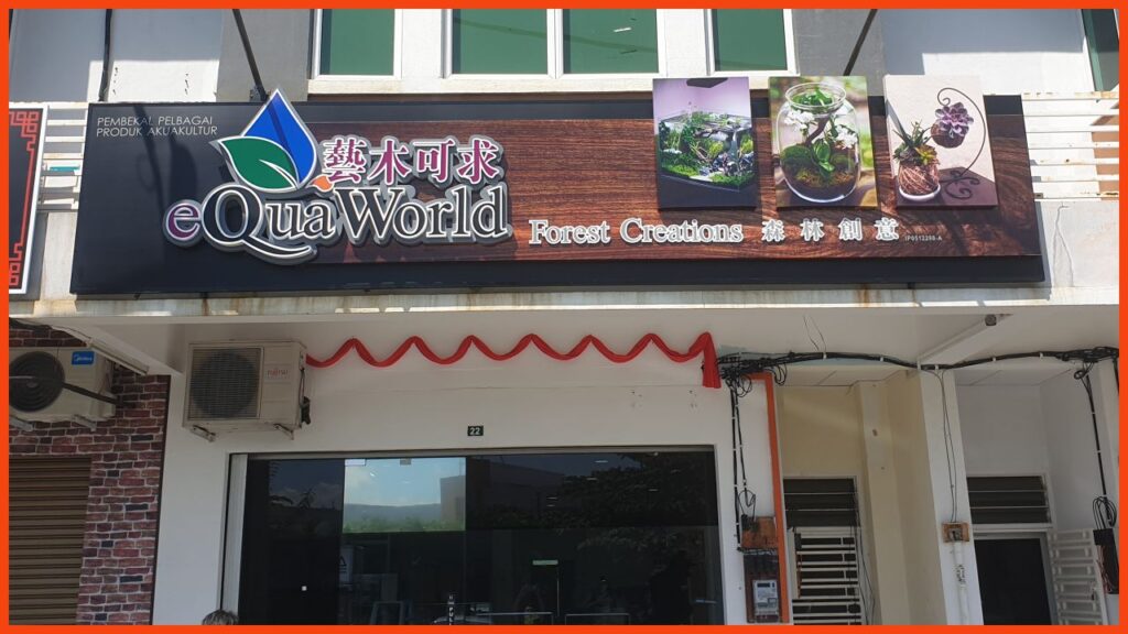 kedai aquarium ipoh equaworld forest creations