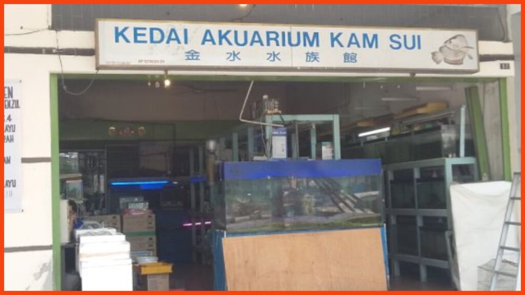 kedai aquarium ipoh kam sui aqua