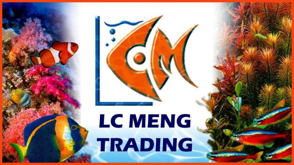 kedai aquarium ipoh lc meng trading