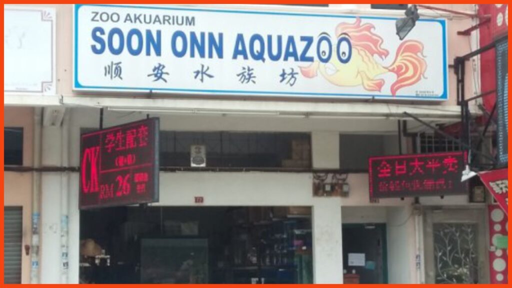 kedai aquarium ipoh soon onn aquazoo