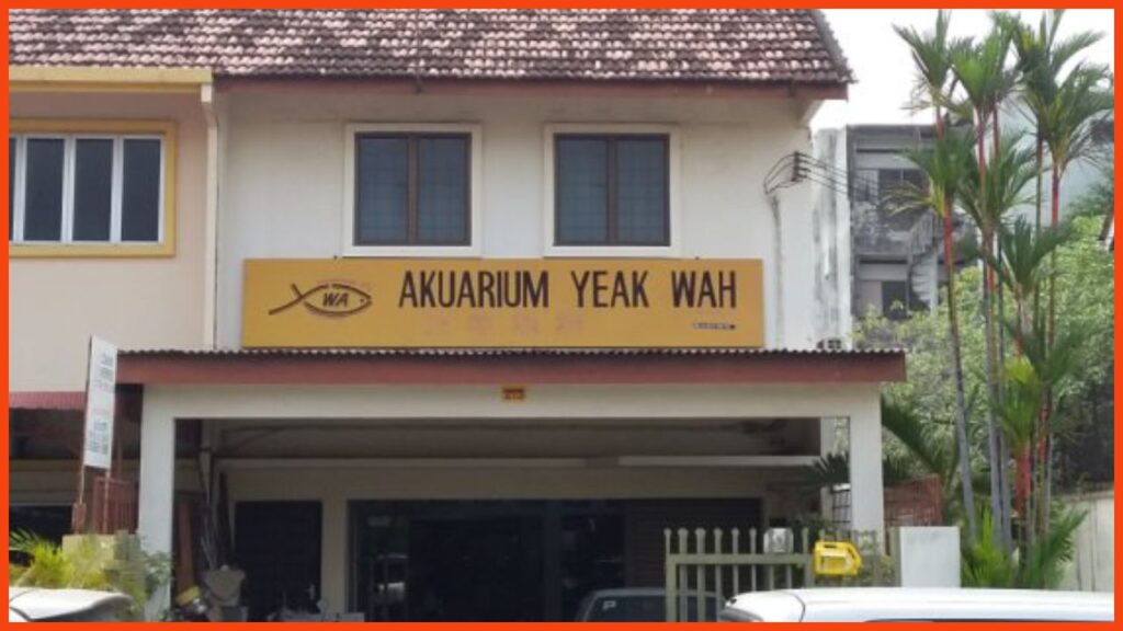 kedai aquarium ipoh yeak wah aquarium