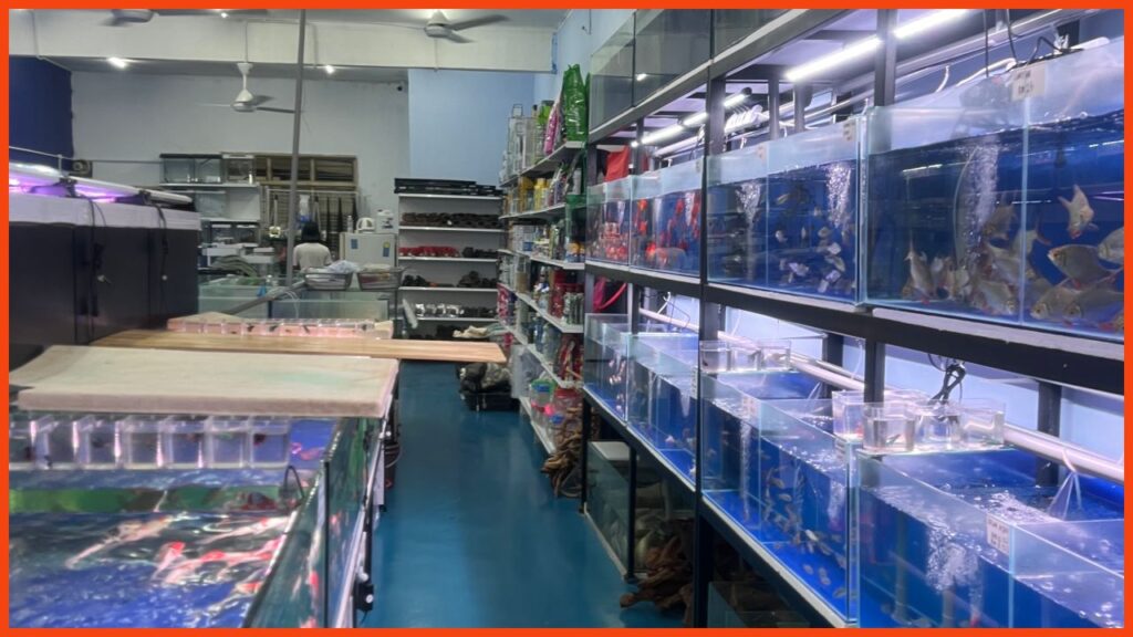 kedai aquarium kajang aza aquarium parts & trading bukit mahkota