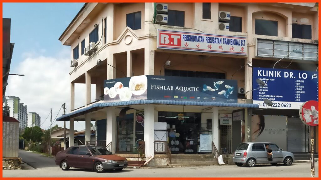 kedai aquarium kajang fishlab aquatic