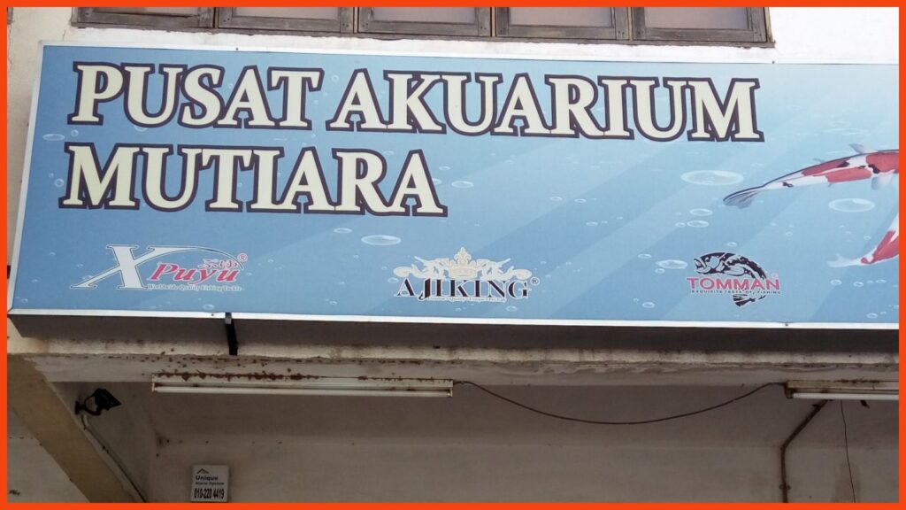 kedai aquarium klang pusat akuarium mutiara