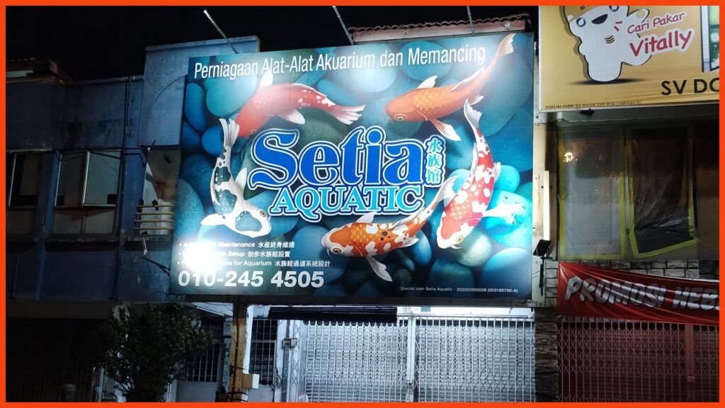 kedai aquarium klang setia aquarium