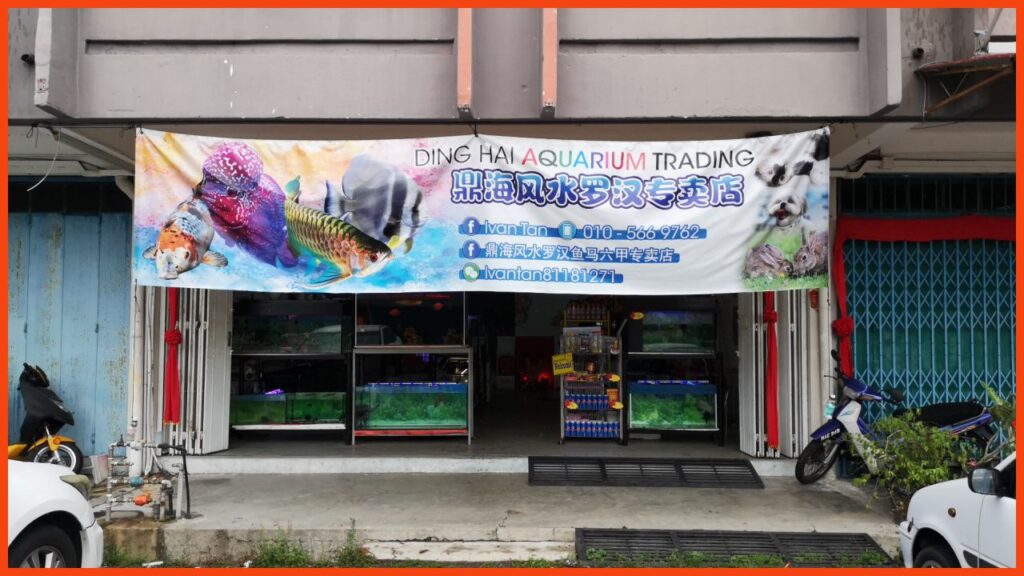 kedai aquarium melaka ding hai aquarium