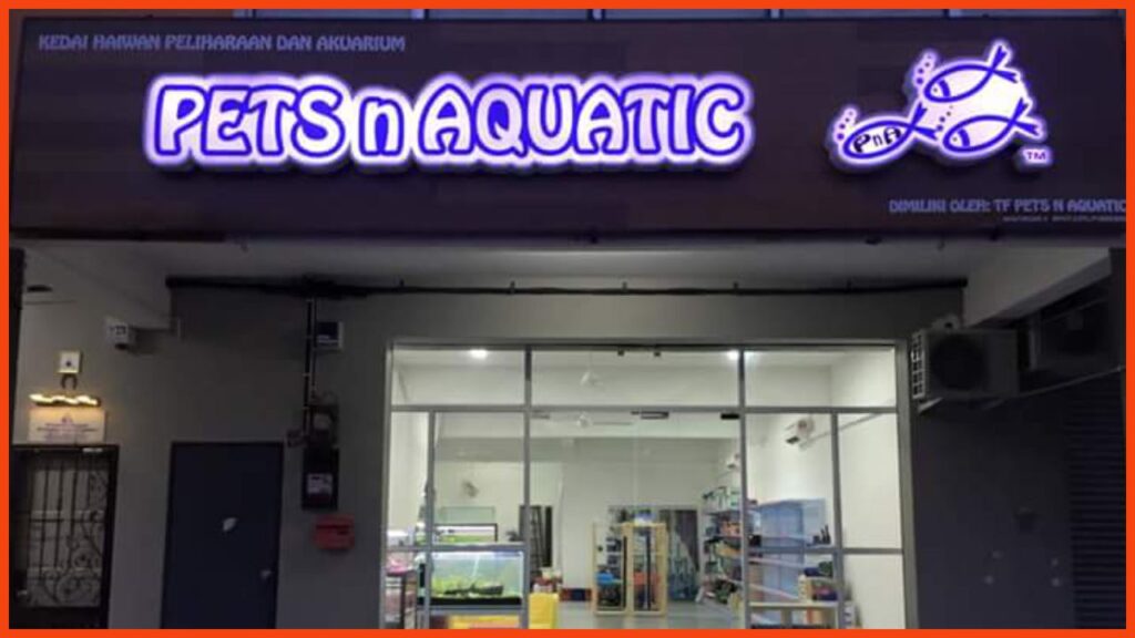 kedai aquarium melaka pets n aquatic