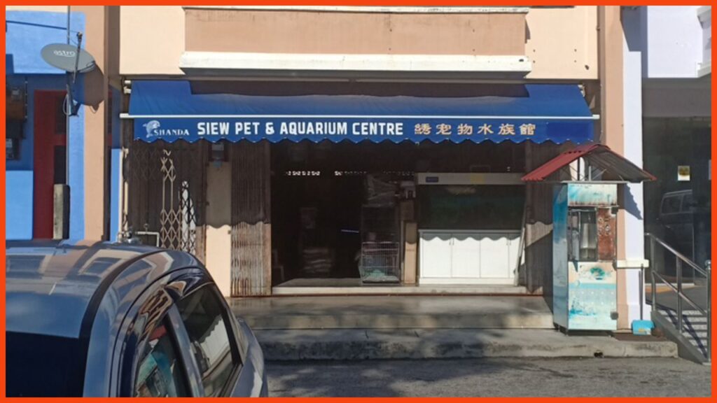 kedai aquarium melaka siew pet n aquarium centre