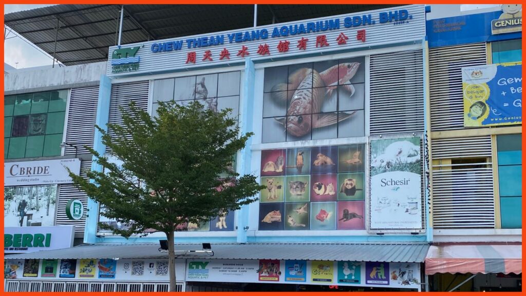 kedai aquarium penang chew thean yeang aquarium sdn bhd