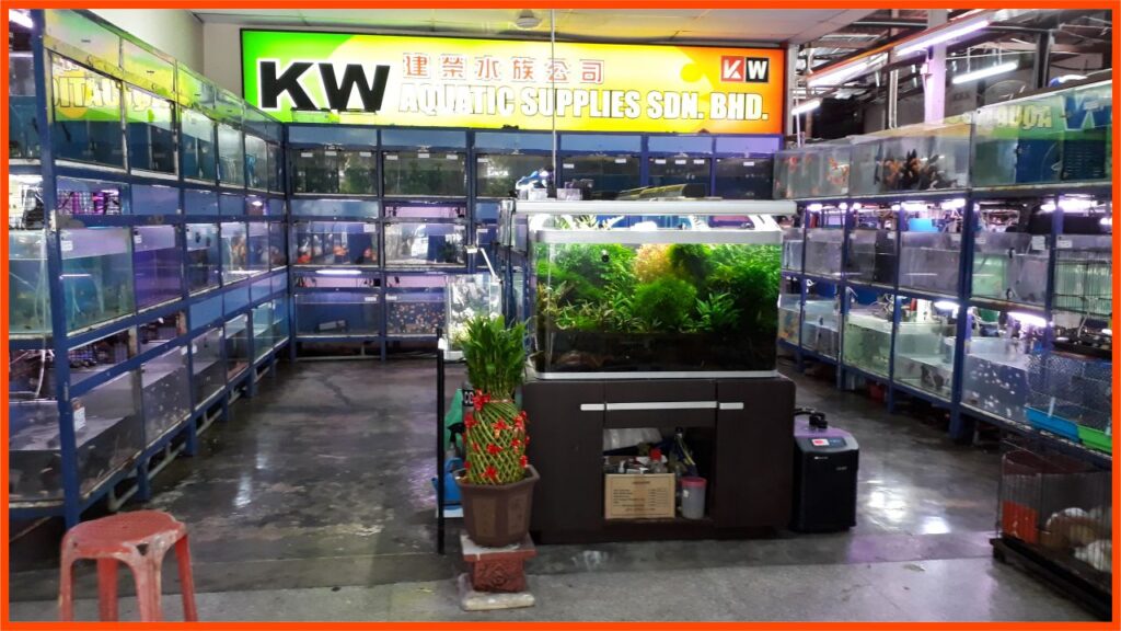 kedai aquarium penang kw aquatic supplies