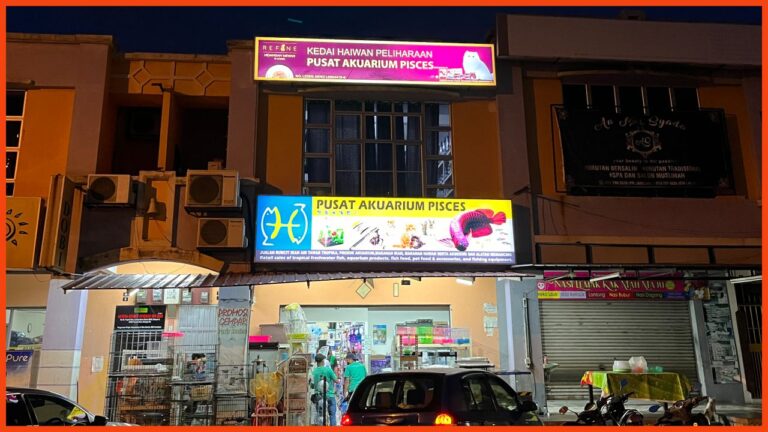 kedai aquarium puncak alam pusat akuarium pisces