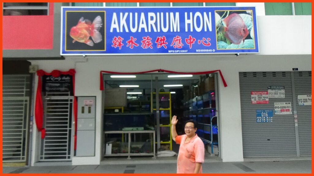 kedai aquarium seremban akuarium hon