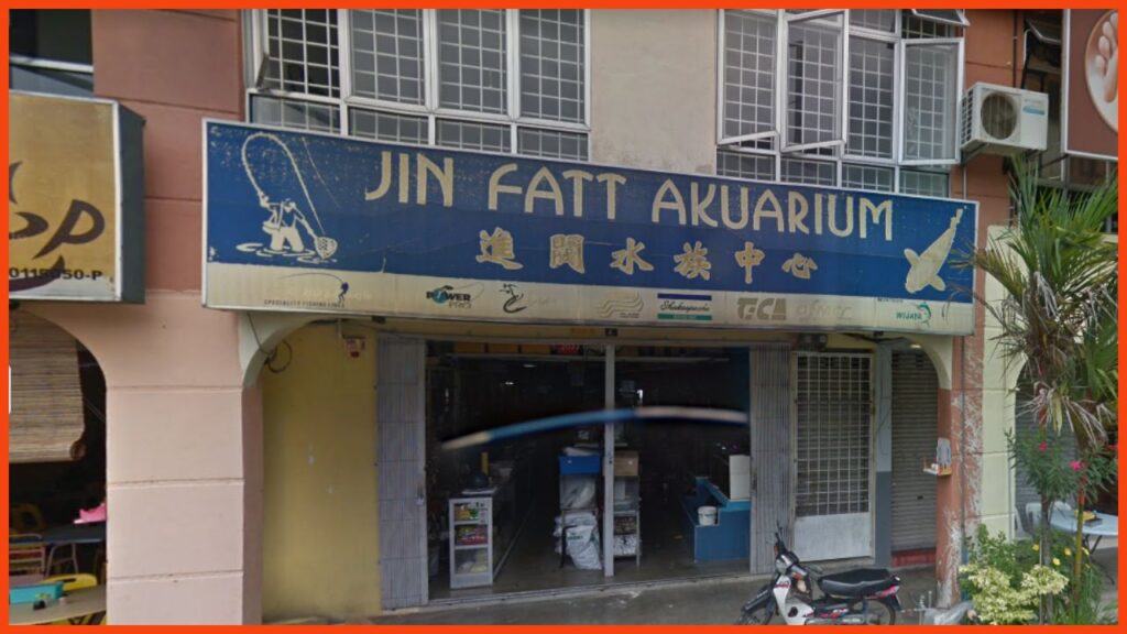 kedai aquarium seremban jin fatt aquarium