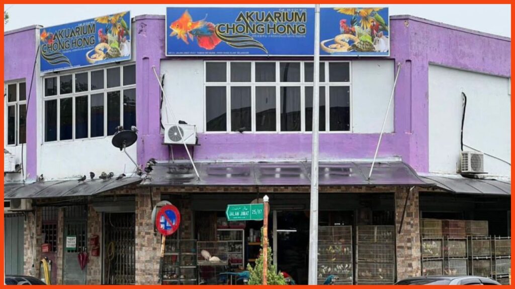 kedai aquarium shah alam akuarium chong hong