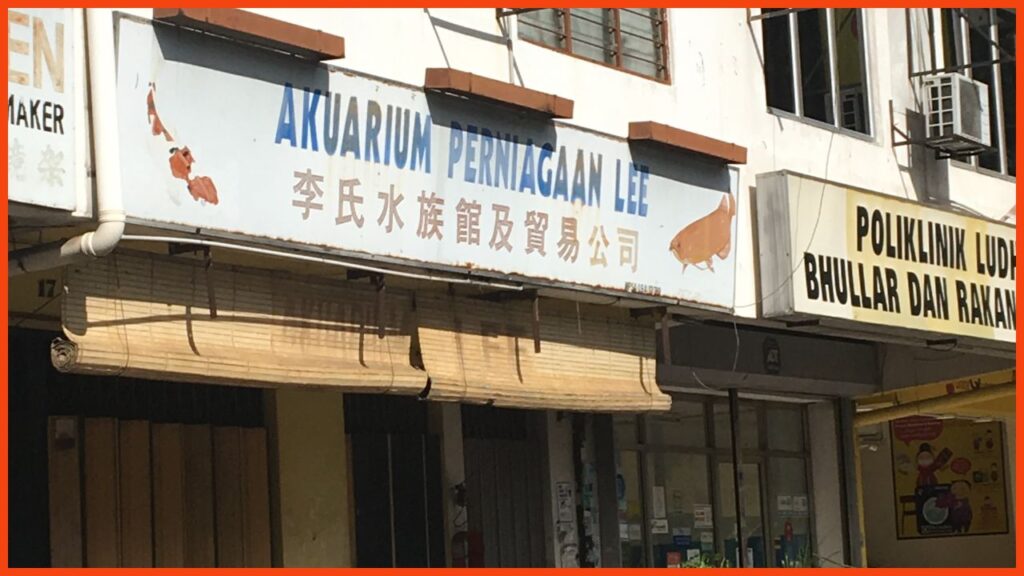 kedai aquarium shah alam akuarium & perniagaan lee