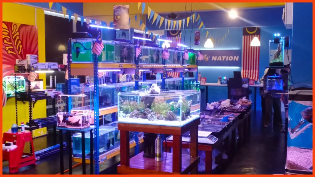 kedai aquarium shah alam aqua nation my