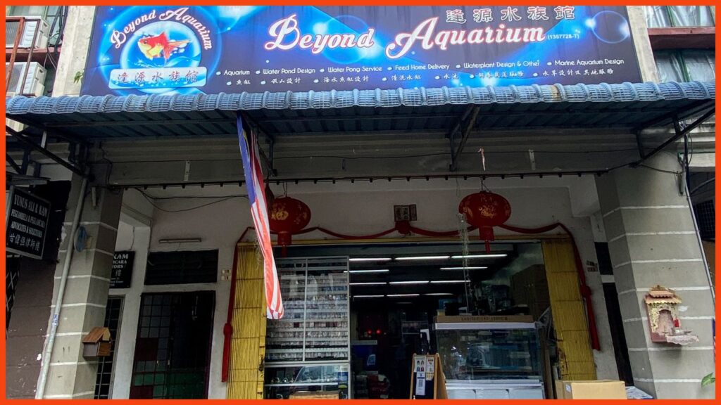 kedai aquarium shah alam beyond aquarium