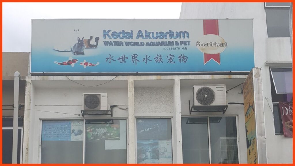 kedai aquarium shah alam water world aquarium & pet